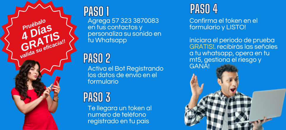 Explicación del proceso
